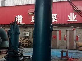 北京下吸泵125立方每小时扬程64米已准备发货