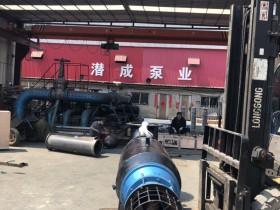 350QZB潜水轴流泵发往北京密云