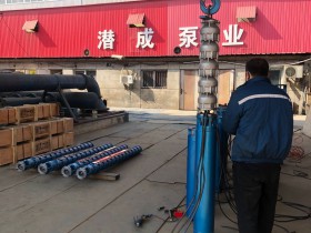 200型不锈钢深井泵发往云南