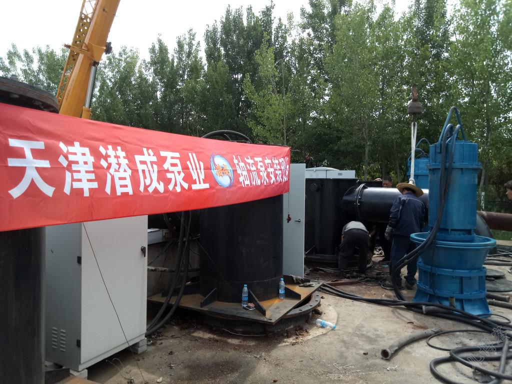 潜水轴流泵安装第2张-潜水电机-潜水电泵-高压潜水电机-天津潜成泵业