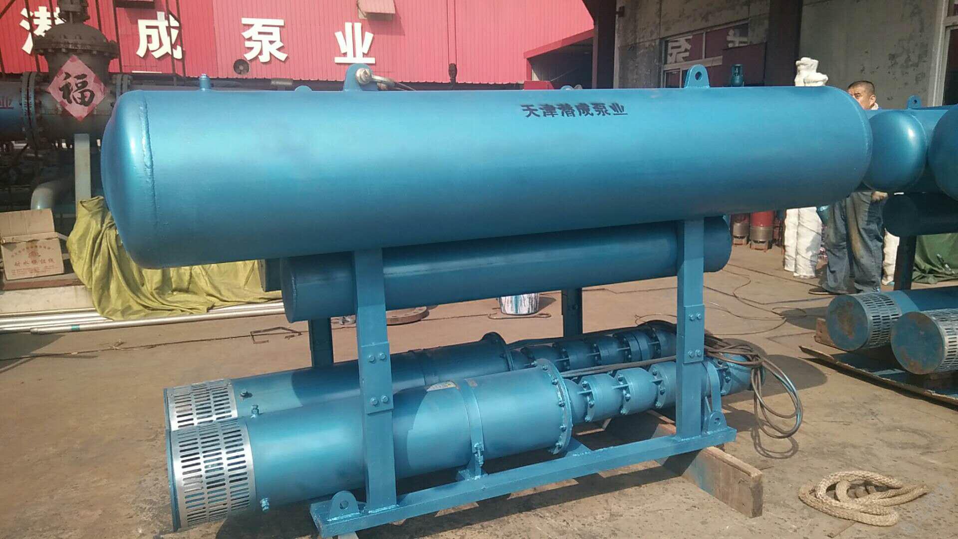 浮筒式潜水泵-重庆某园林公司湖泊取水园林灌溉第2张-潜水电机-潜水电泵-高压潜水电机-天津潜成泵业