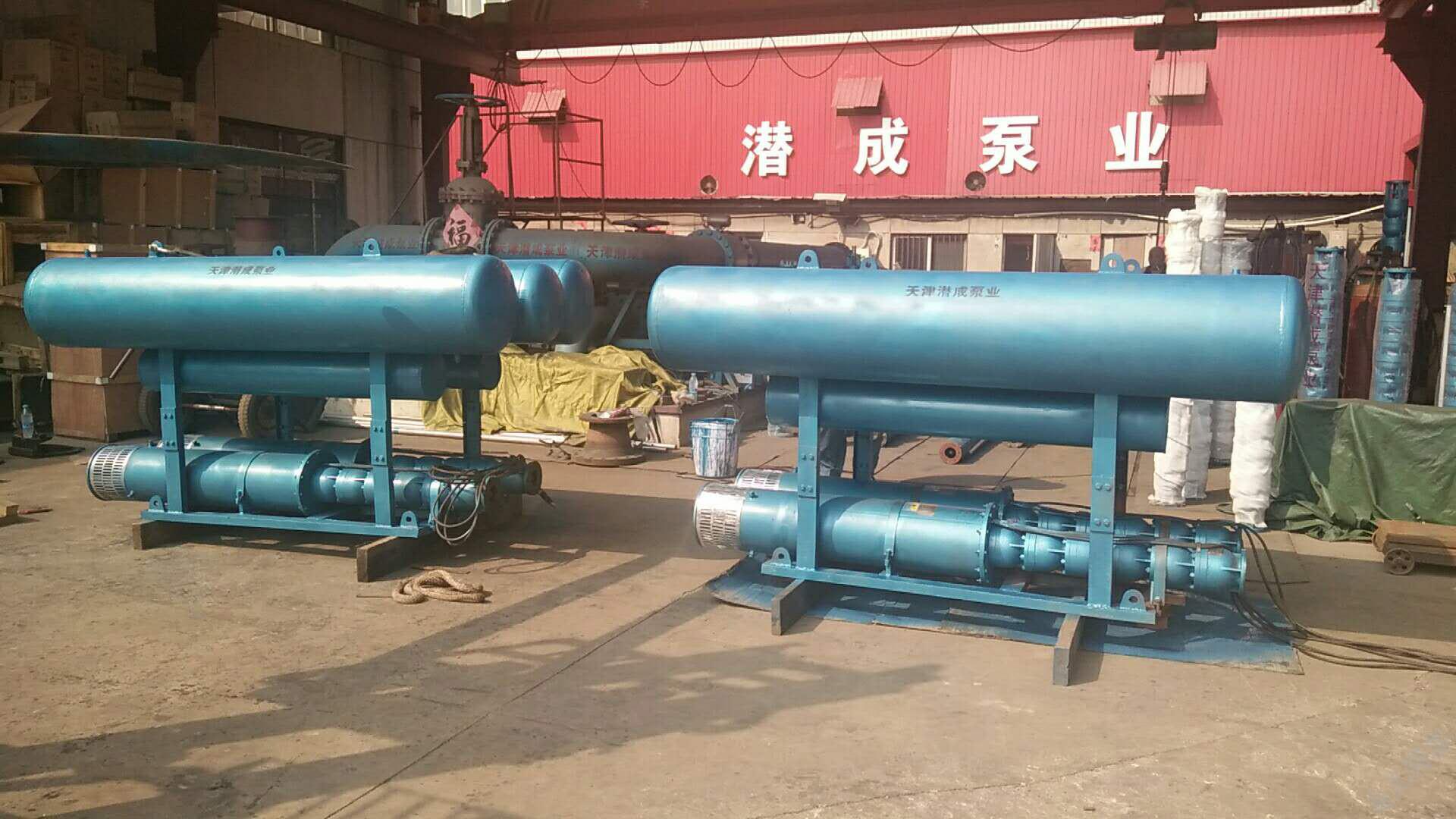 浮筒式潜水泵-重庆某园林公司湖泊取水园林灌溉第1张-潜水电机-潜水电泵-高压潜水电机-天津潜成泵业