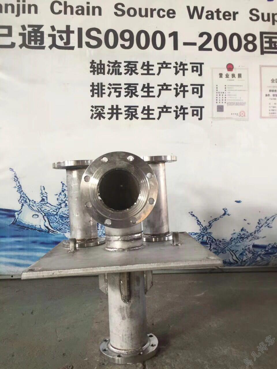 200QJ不锈钢深井泵发往拉萨第3张-潜水电机-潜水电泵-高压潜水电机-天津潜成泵业