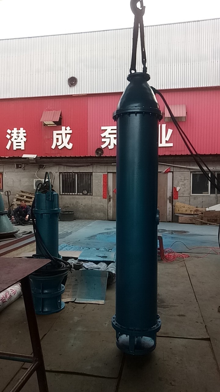 北京下吸泵125立方每小时扬程64米已准备发货第3张-潜水电机-潜水电泵-高压潜水电机-天津潜成泵业