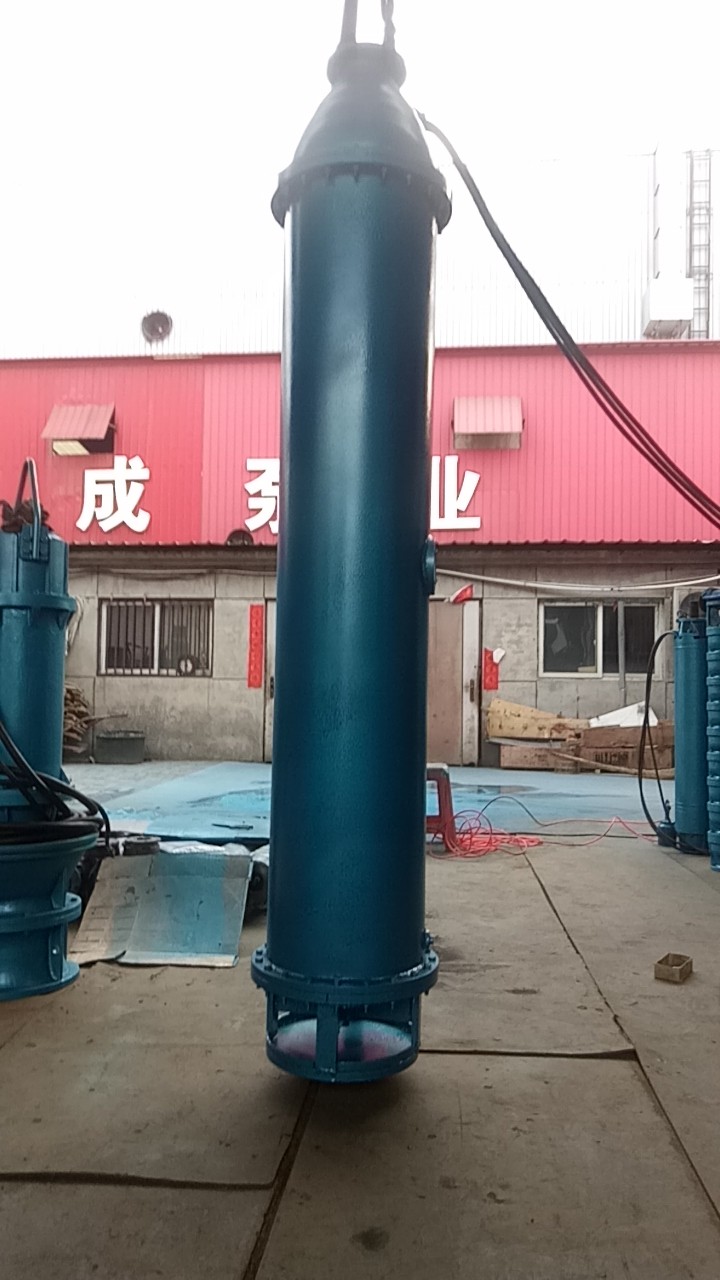 北京下吸泵125立方每小时扬程64米已准备发货第4张-潜水电机-潜水电泵-高压潜水电机-天津潜成泵业