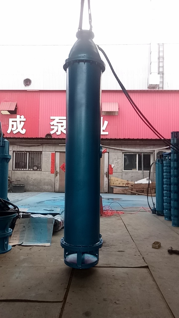 北京下吸泵125立方每小时扬程64米已准备发货第5张-潜水电机-潜水电泵-高压潜水电机-天津潜成泵业