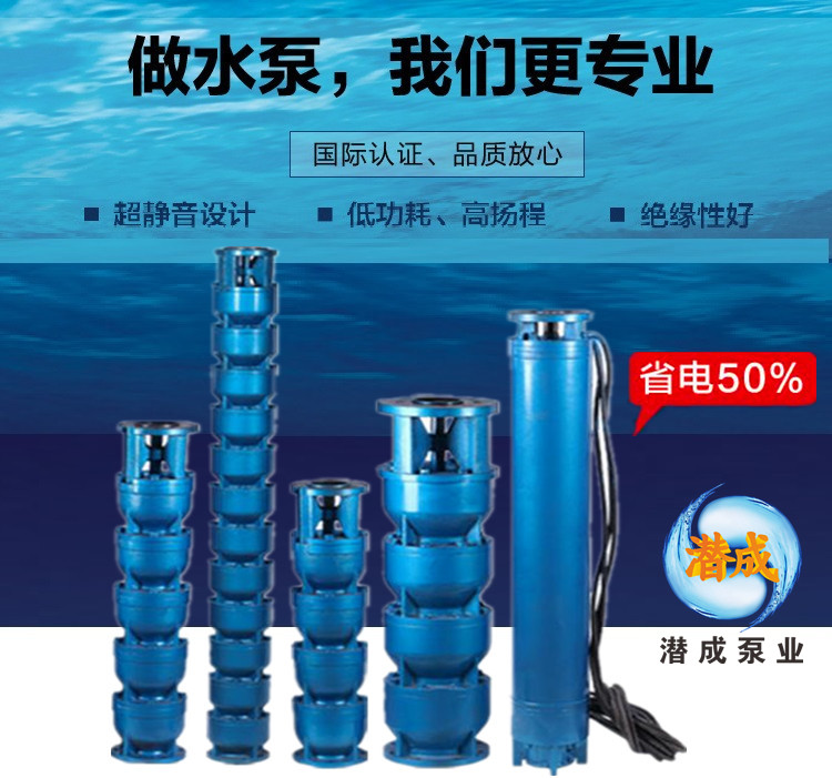 YQS300系列井用潜水三相异步电机第2张-潜水电机-潜水电泵-高压潜水电机-天津潜成泵业